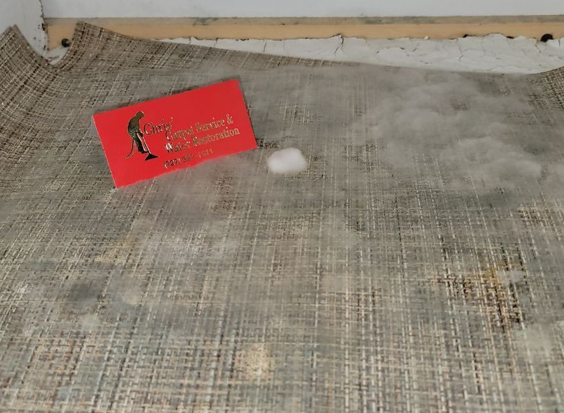 mold on the carpet