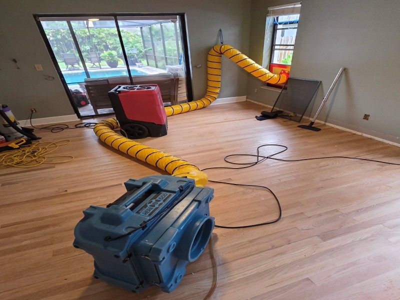 Mold remediation work in progress