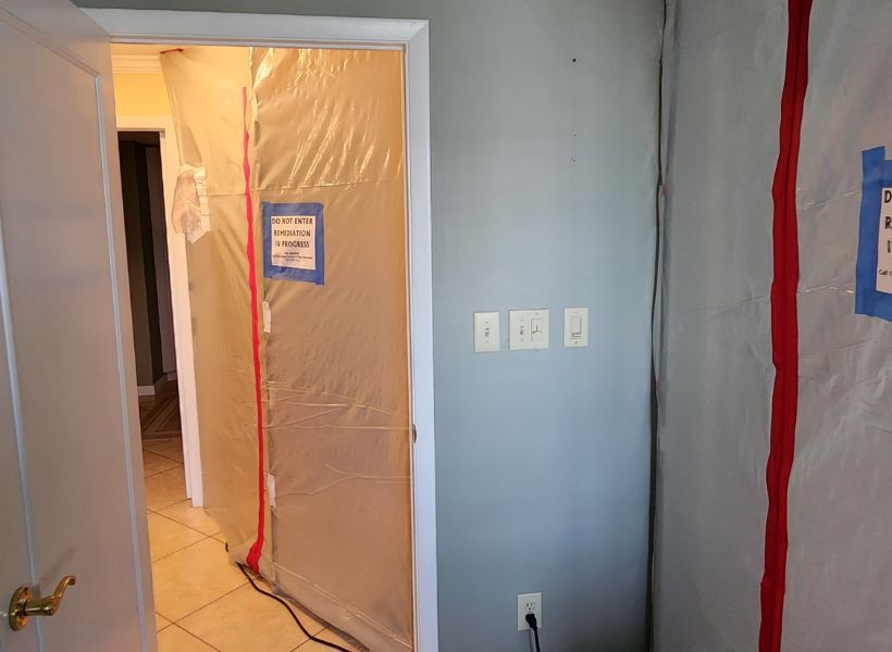 mold remediation