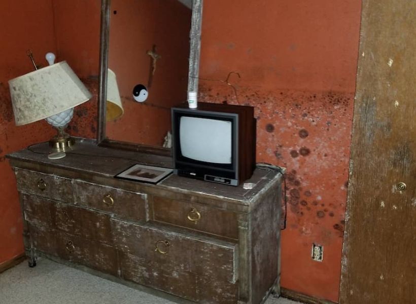 serious mold infestation on bedroom  walls and furniture