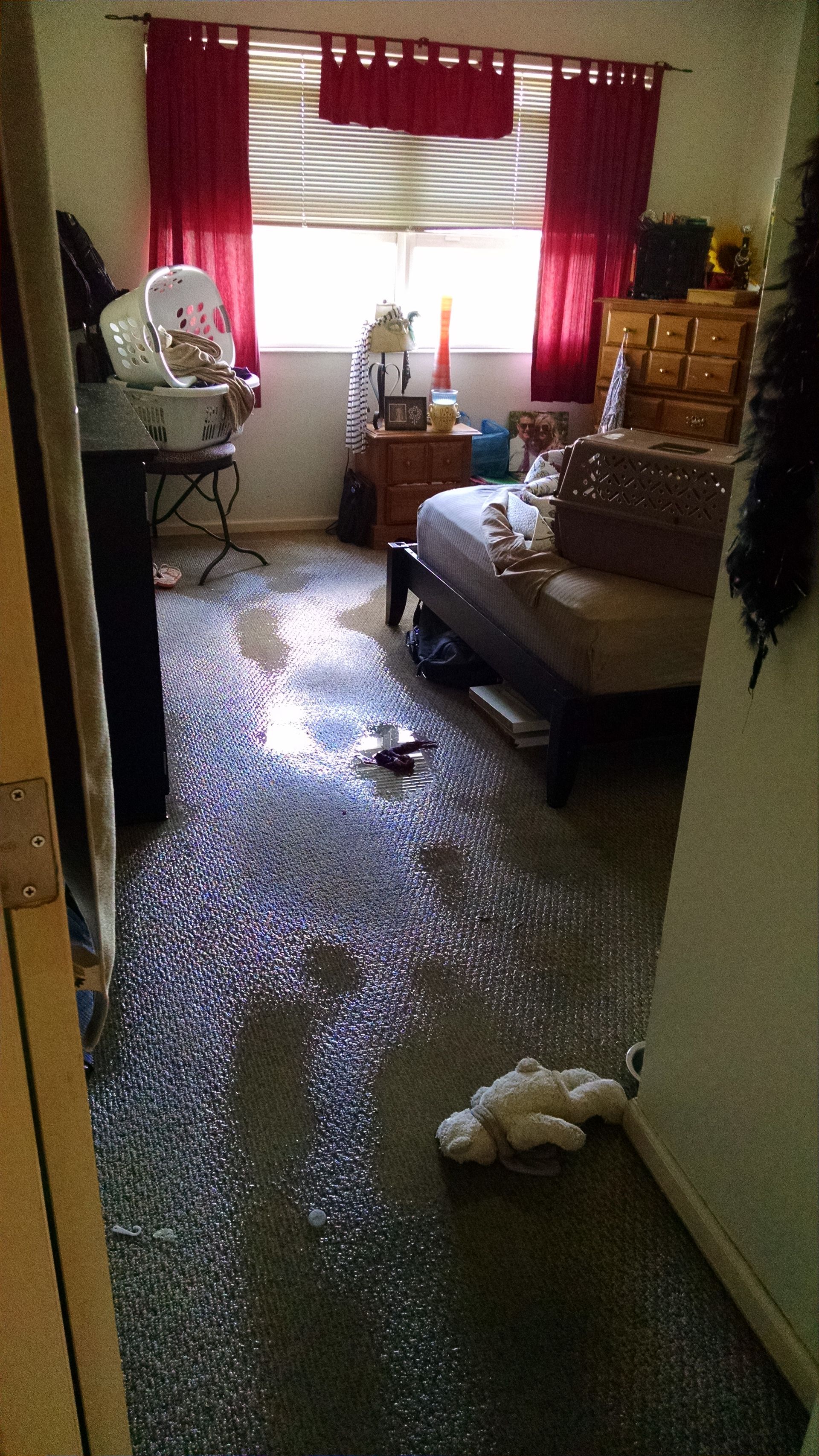 water damage carpet