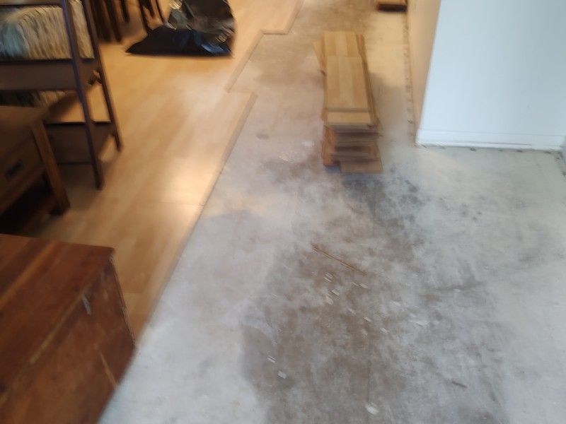 Professional water extraction equipment removing moisture from damaged flooring