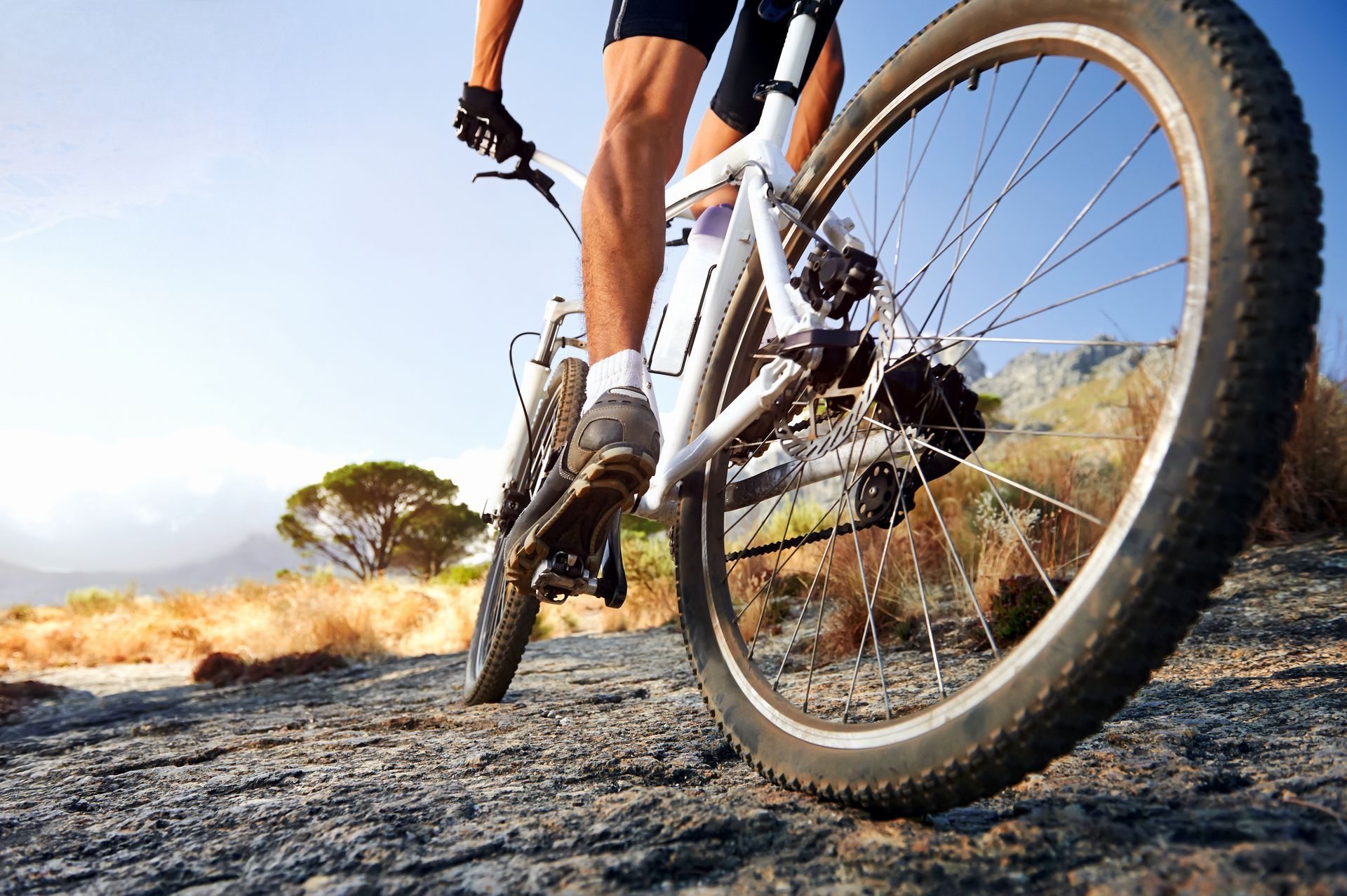 Person riding a mountain bike on a rocky path in a sunny, outdoor setting.