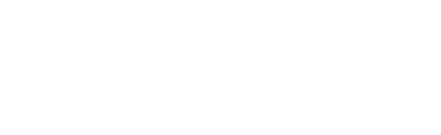 Zippy Rents logo