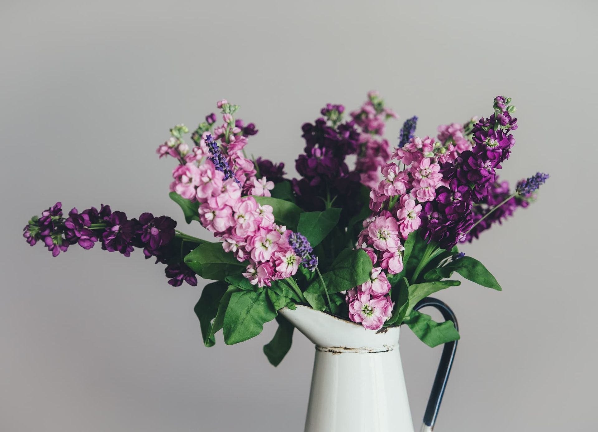 Purple and pink flowers in a white pitcher against a gray background.
