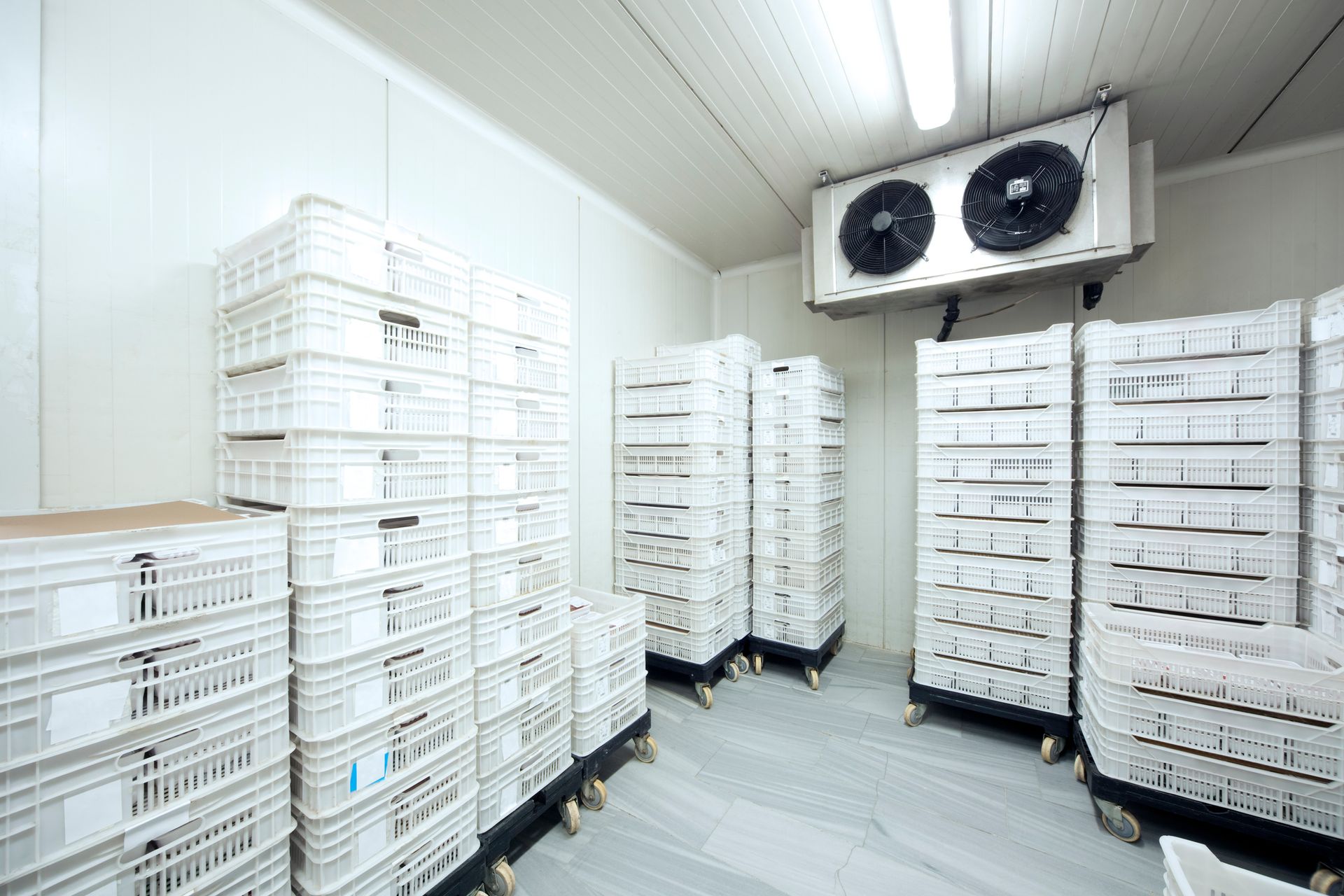 Industrial cold storage room with stacks of white plastic crates and wall-mounted cooling fans