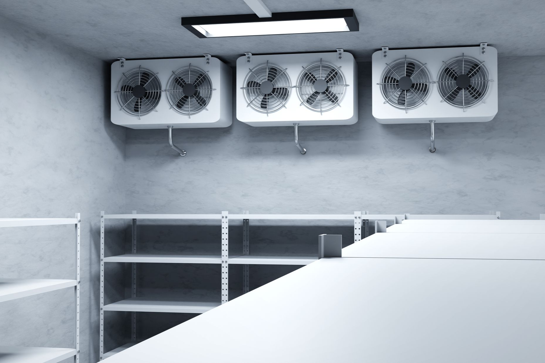 Empty walk-in cooler with metal shelves and three wall-mounted fans under a fluorescent light