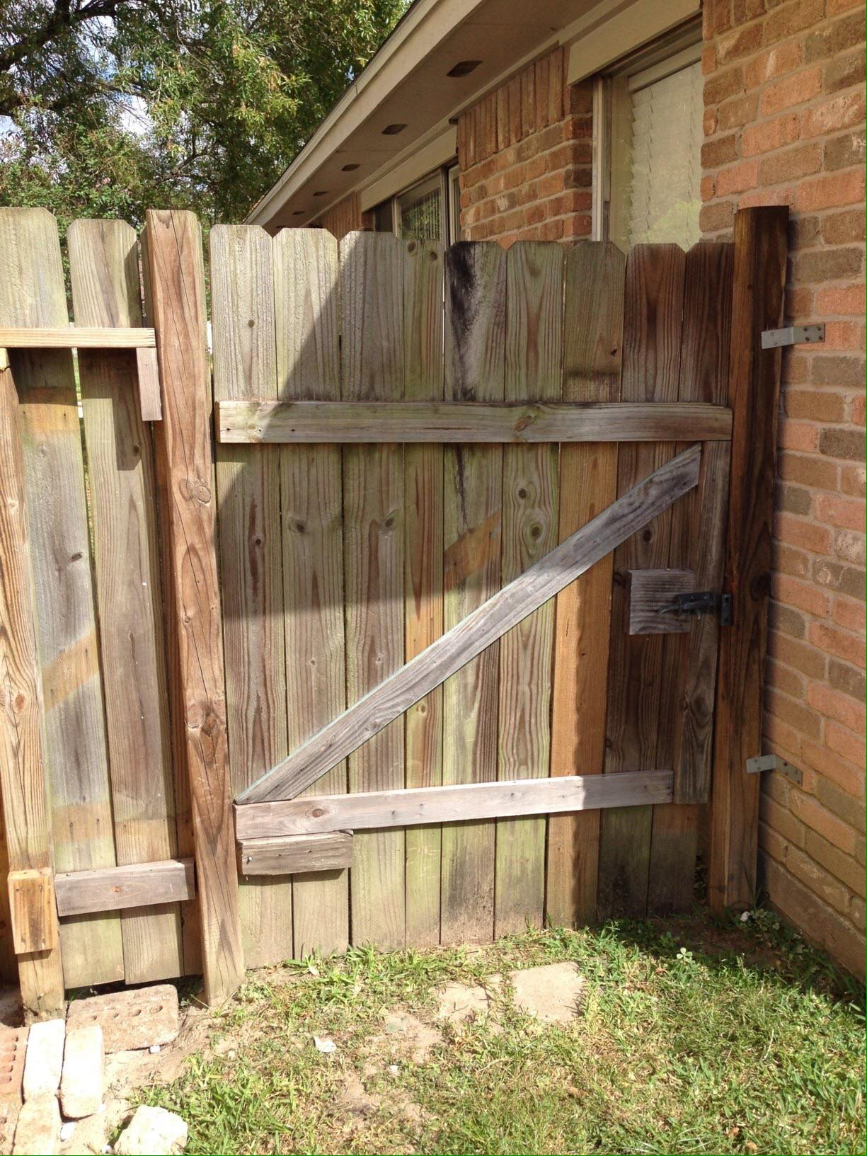 Wooden gate in a backyard, with a diagonal brace. It’s next to a brick wall and a fence post, weathered wood.