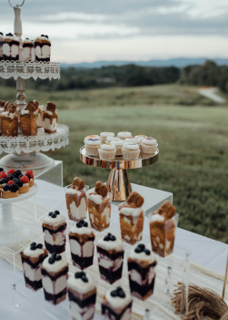 Dessert table with layered cups, cupcakes, and a tart, set outdoors with a scenic view.