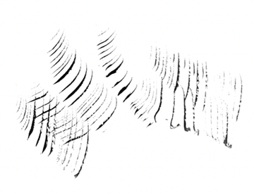 A black and white drawing of a swirl on a white background. A black and white drawing of a swirl on a white background.