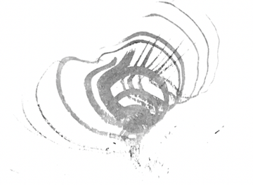 A black and white drawing of a swirl on a white background. A black and white drawing of a swirl on a white background.