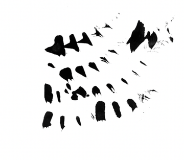 A black and white drawing of a swirl on a white background. A black and white drawing of a swirl on a white background.