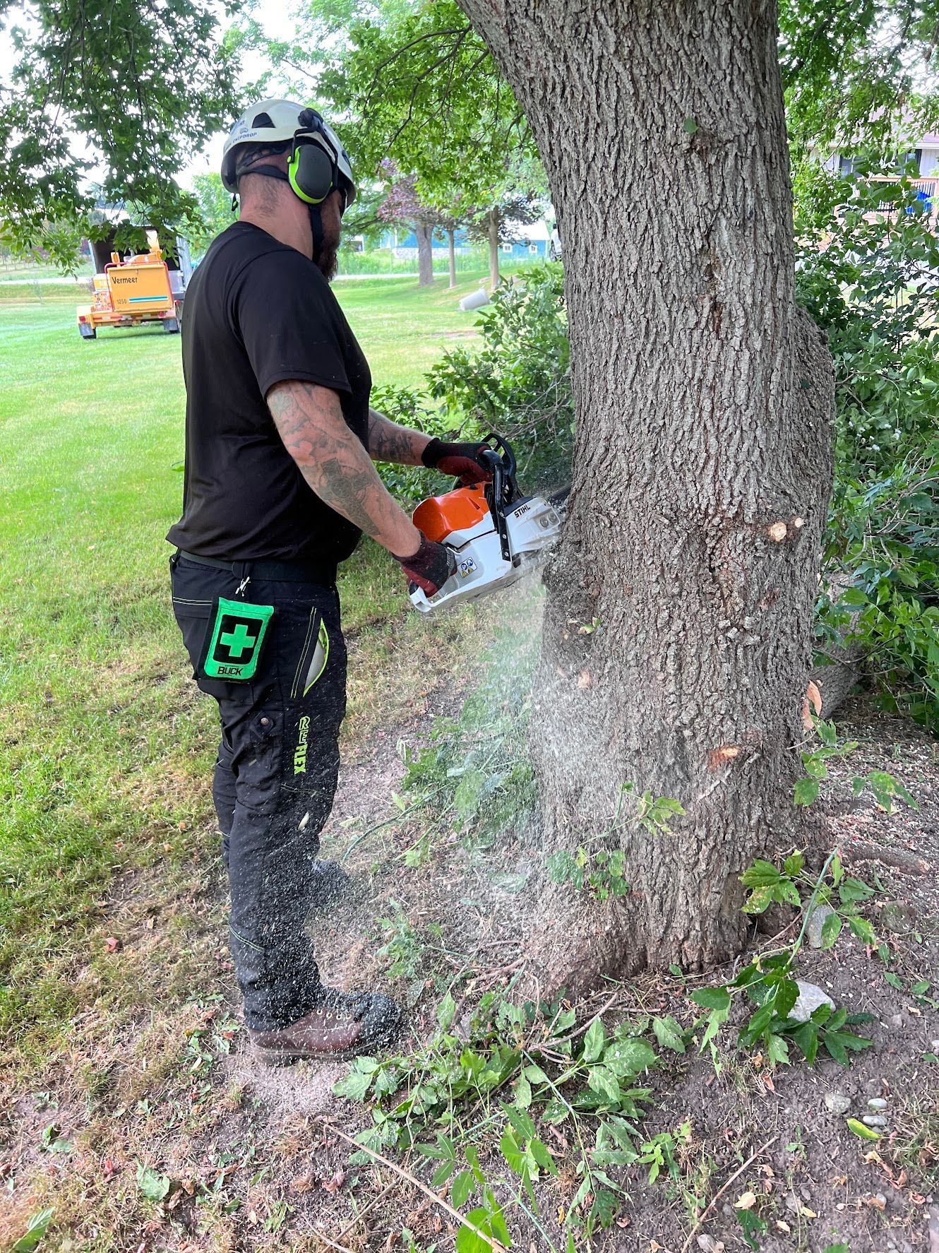abortist cutting a tree with a chainsaw.