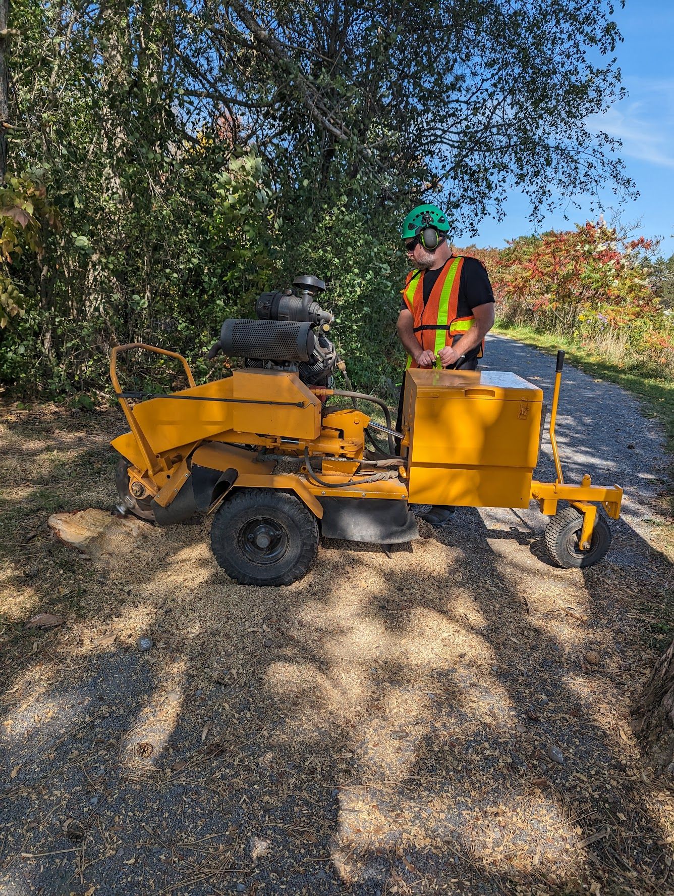 A man is standing next to a yellow stump grinder.