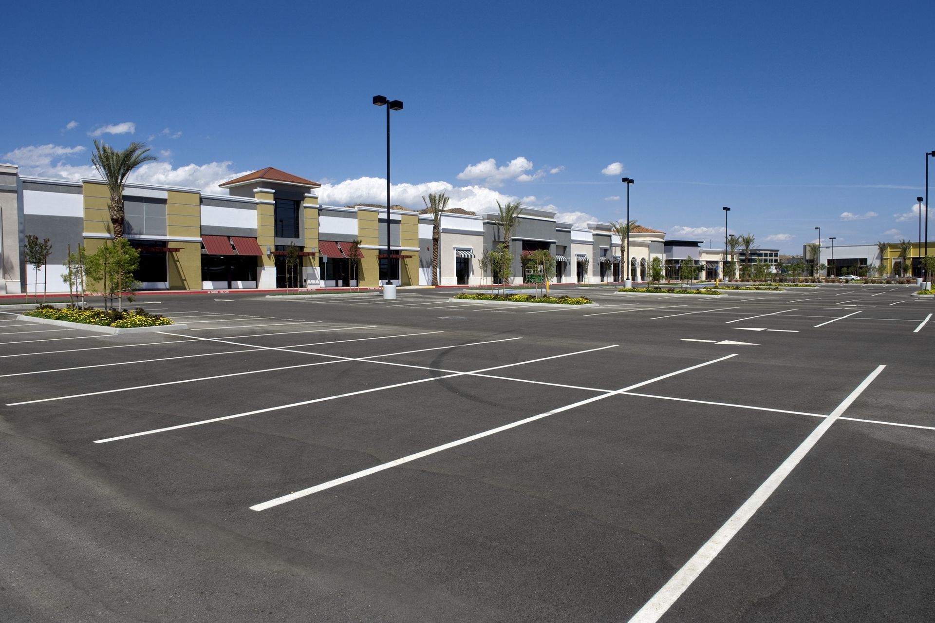 An empty parking lot in front of modern retail stores with palm trees under a clear blue sky