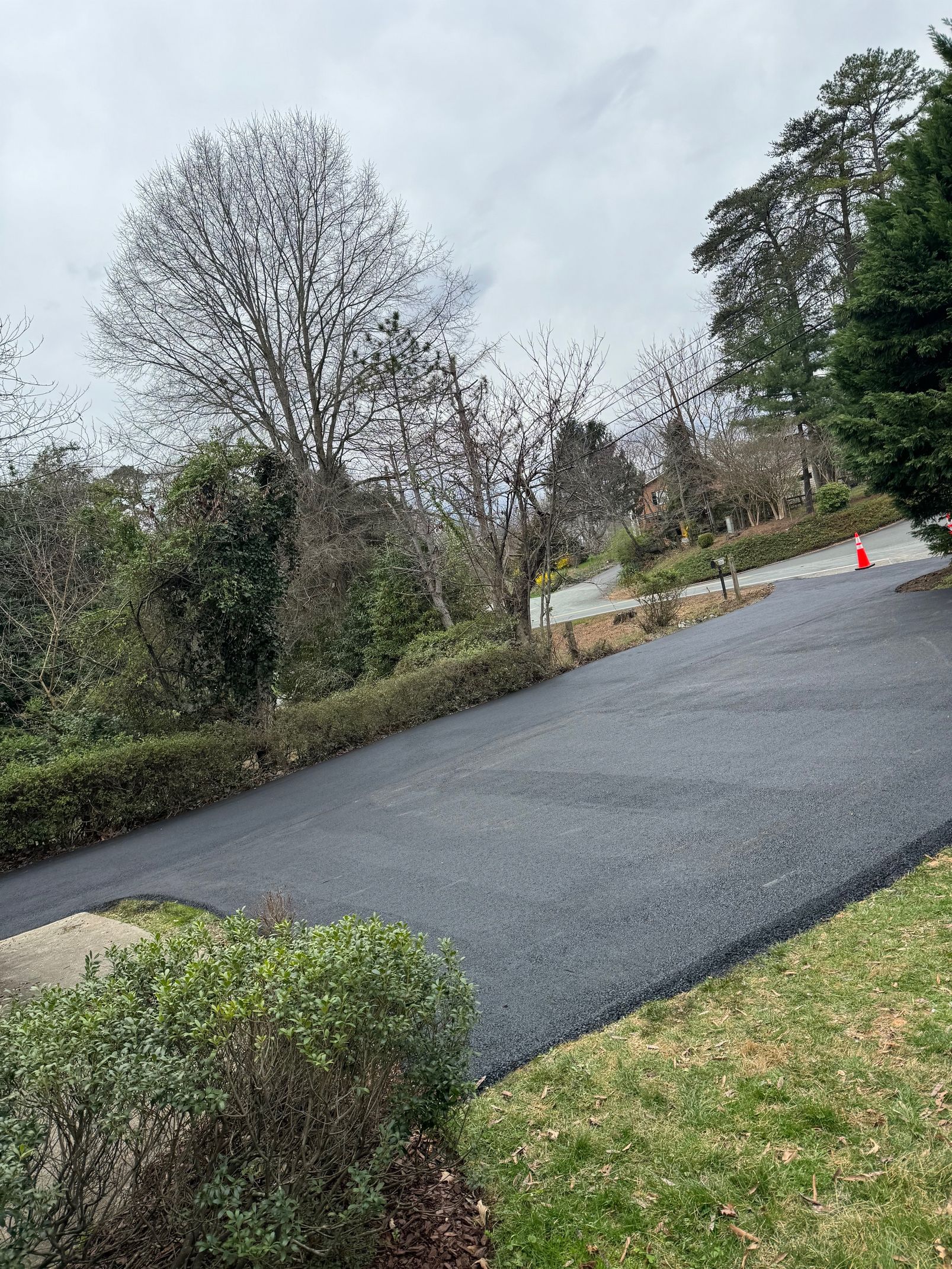 A road with trees on the side of it and a red cone on the side of it.