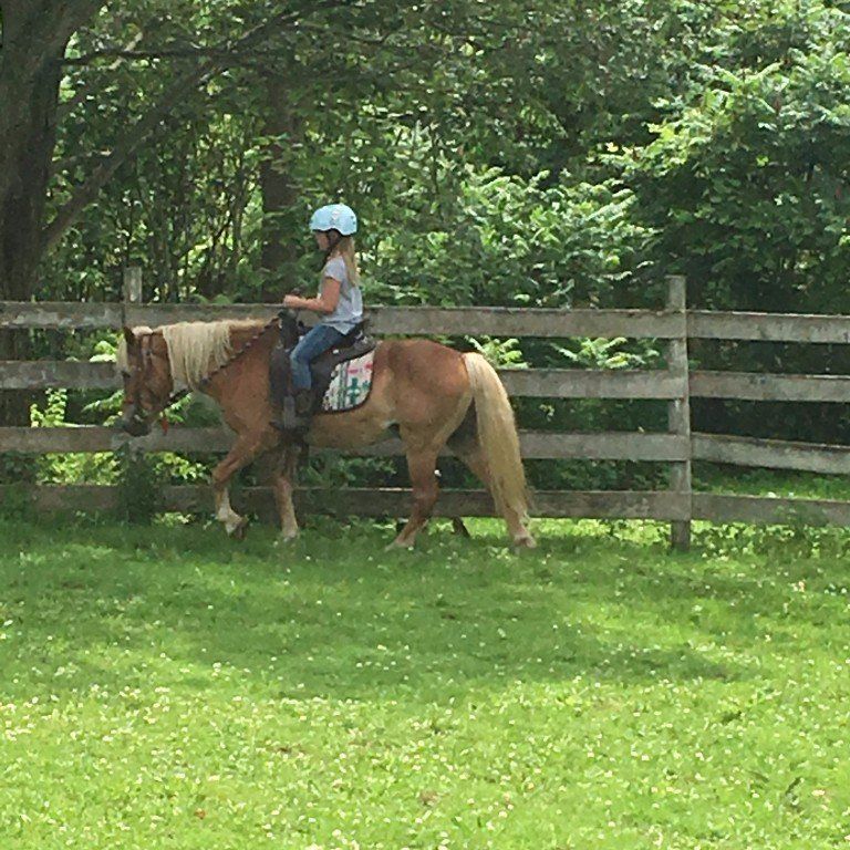 A young girl is riding a brown horse in a field.
