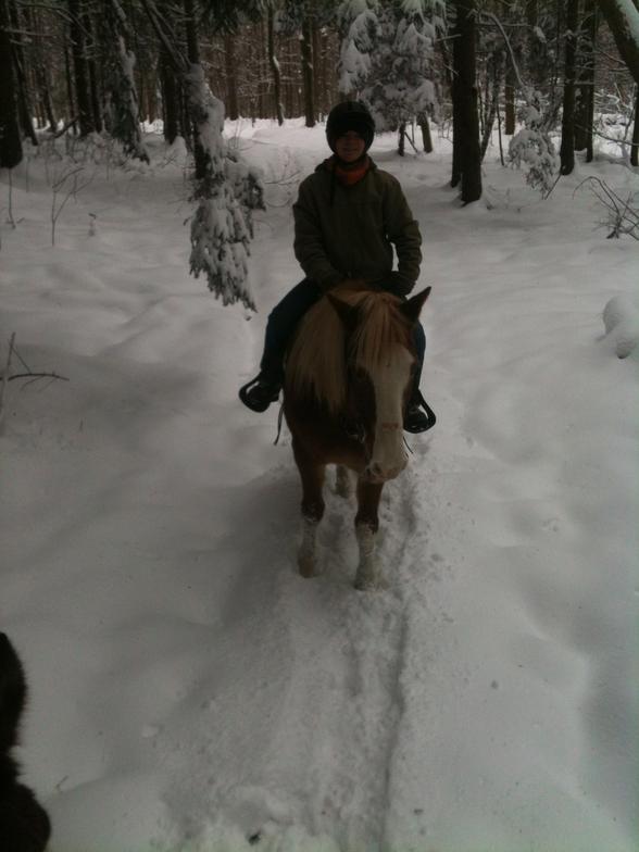 A person is riding a horse in the snow.