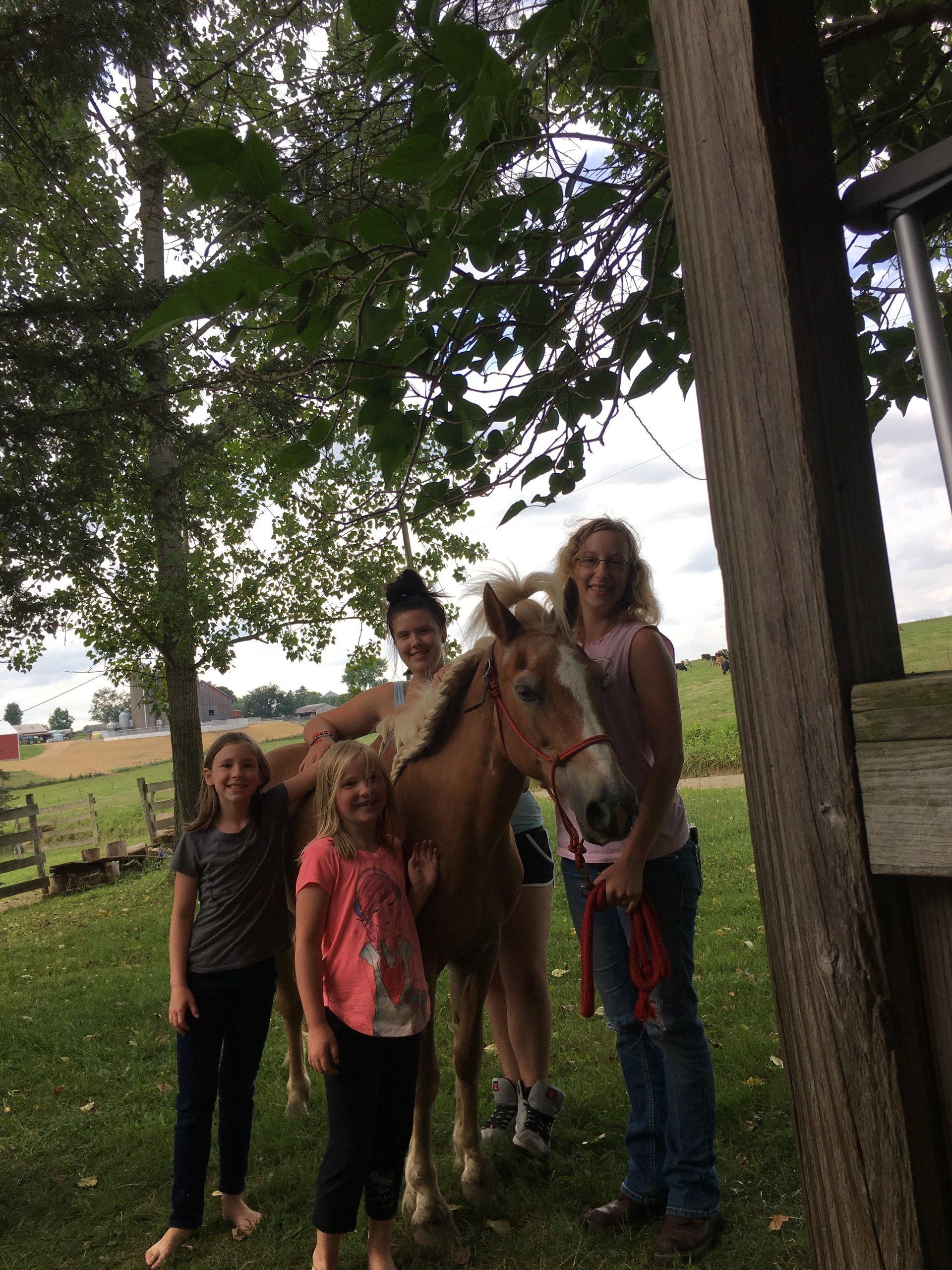A group of people standing next to a horse in a field.