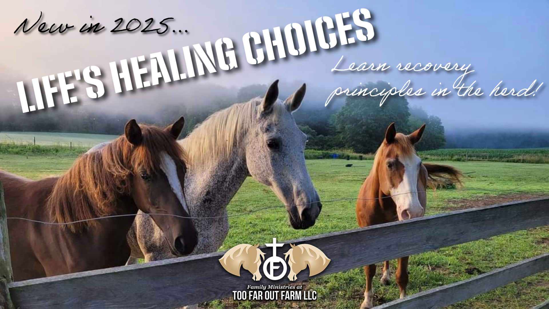 Life's Healing Choices