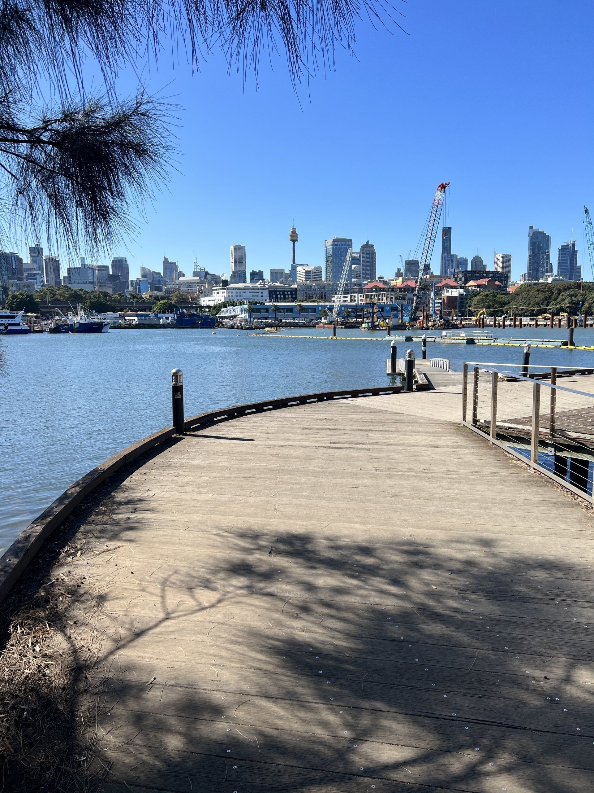 Glebe’s Glebe Ferry Road, an ideal HBR PNY kayak launch site