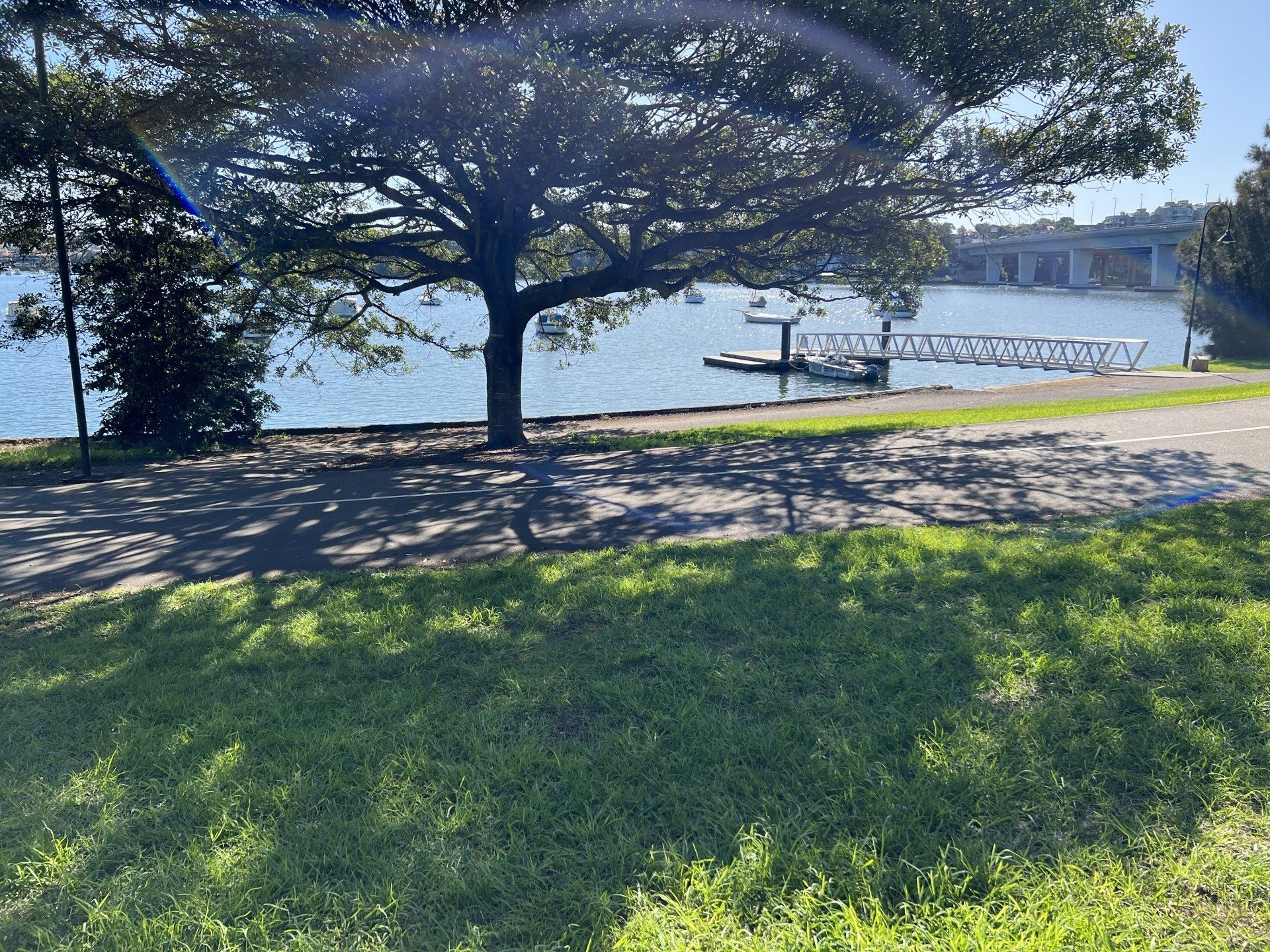 HBR PNY kayak launch at King George Park, Rozelle with harbour views