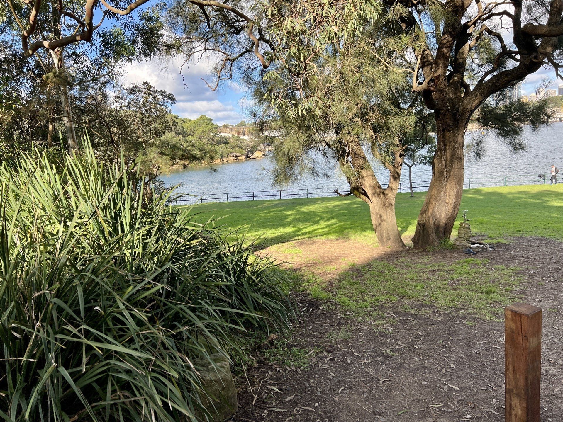 Scenic HBR PNY kayak launch area in North Sydney, close to Wollstonecraft