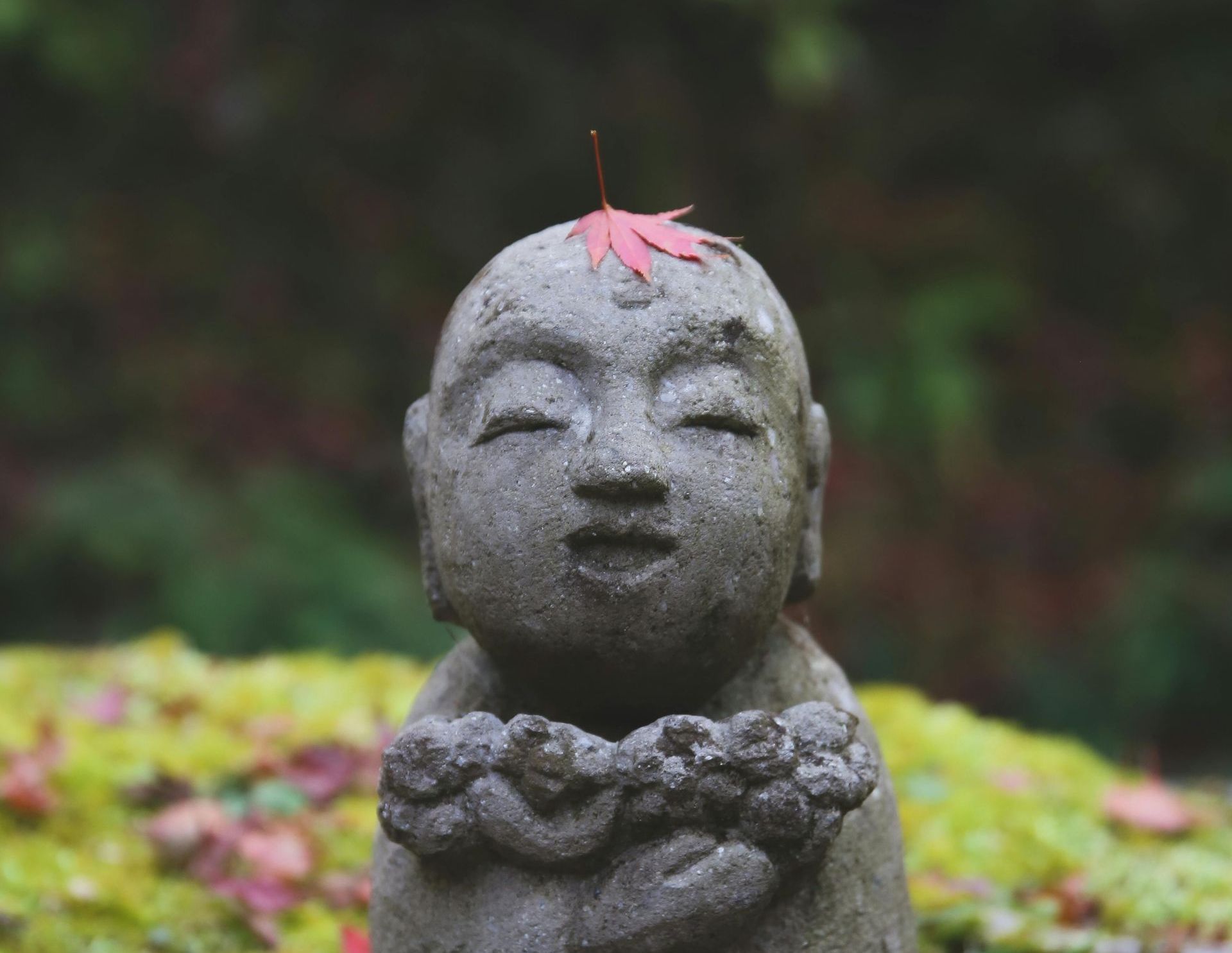 Stone statue of a smiling Buddha with a red maple leaf on its head, set against a blurred green and brown background.