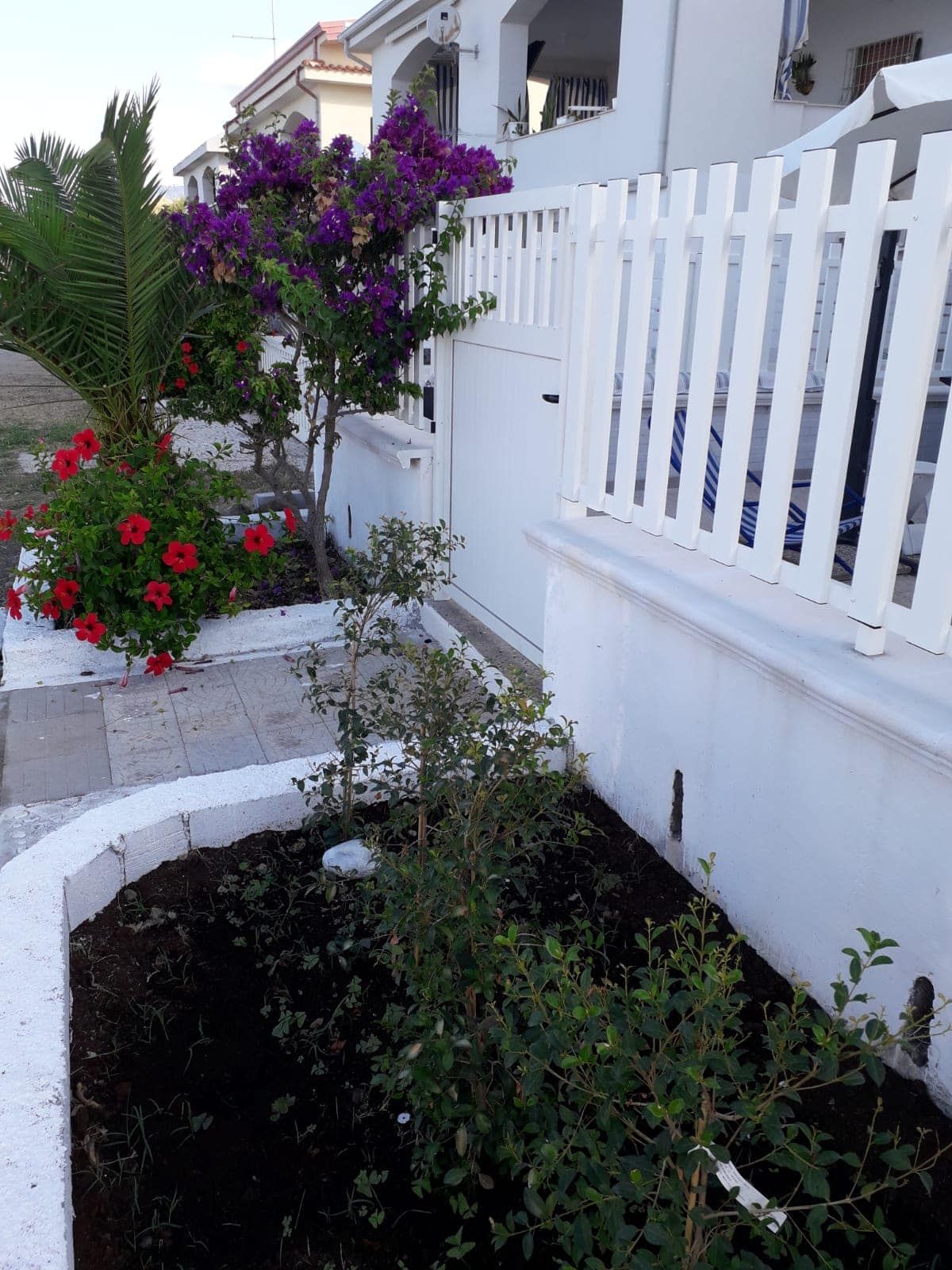 Una staccionata bianca con fiori viola davanti