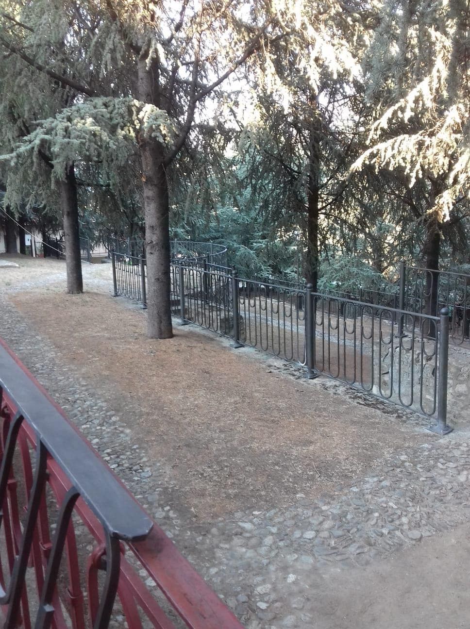 Una recinzione circonda un sentiero in un parco con alberi sullo sfondo