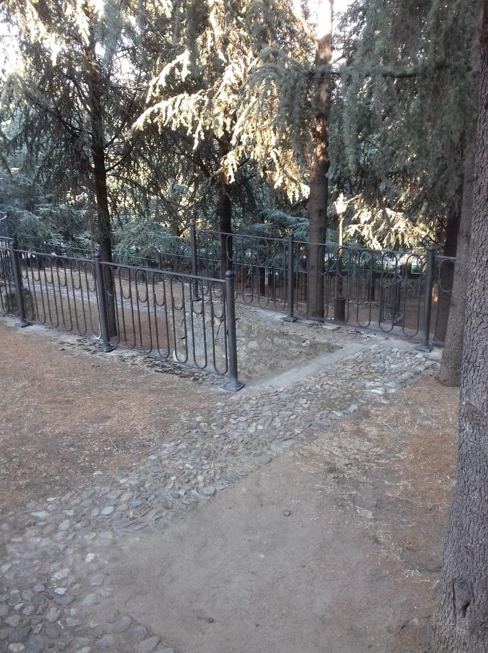 Un sentiero in un parco con alberi e una recinzione