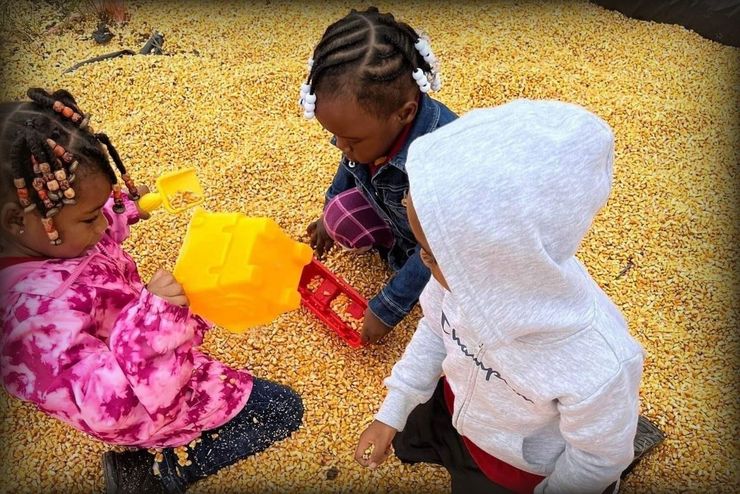 Three young children playing in a bin of corn kernels with toy shovels.