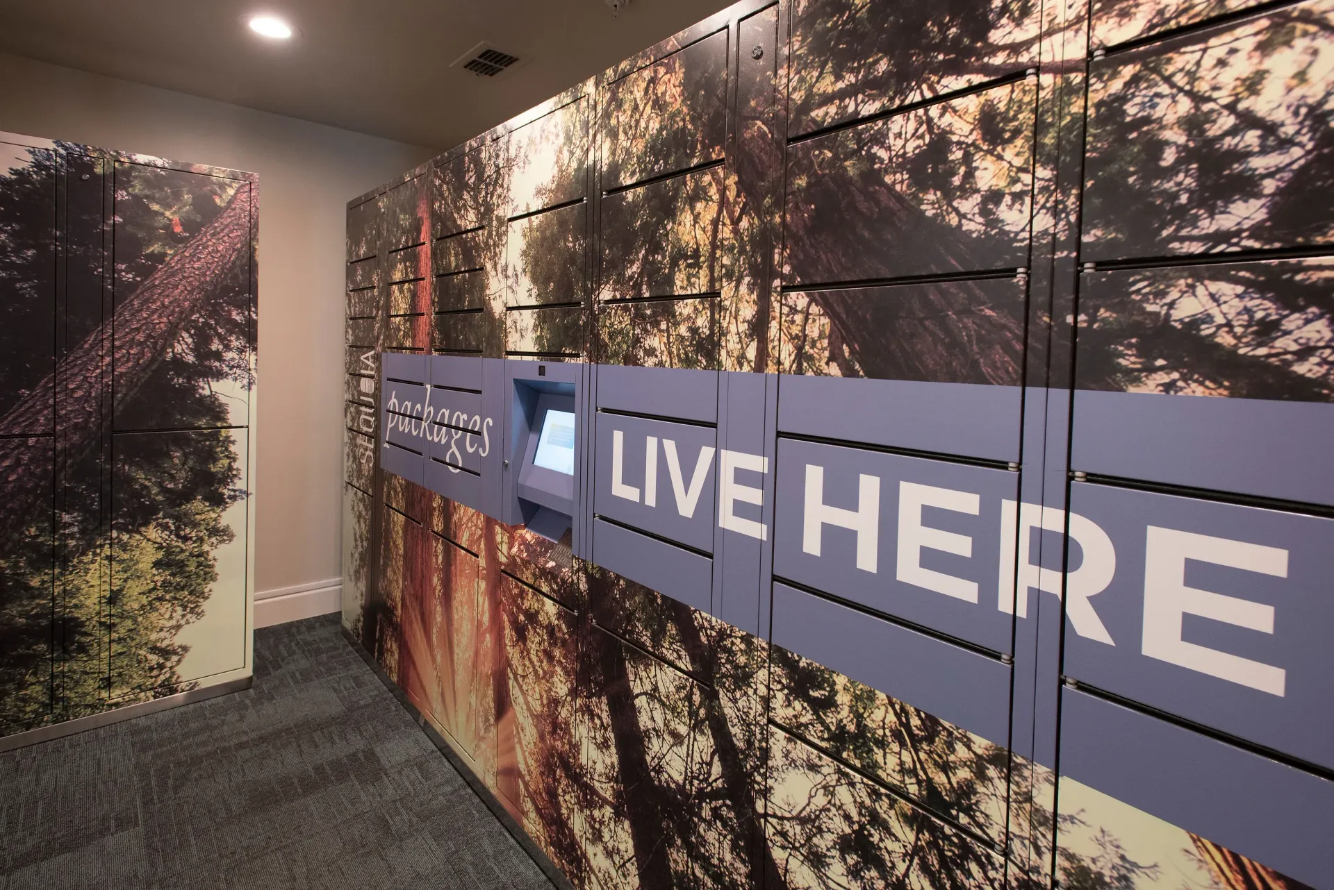 Interior hallway with a forest mural and blue package lockers.