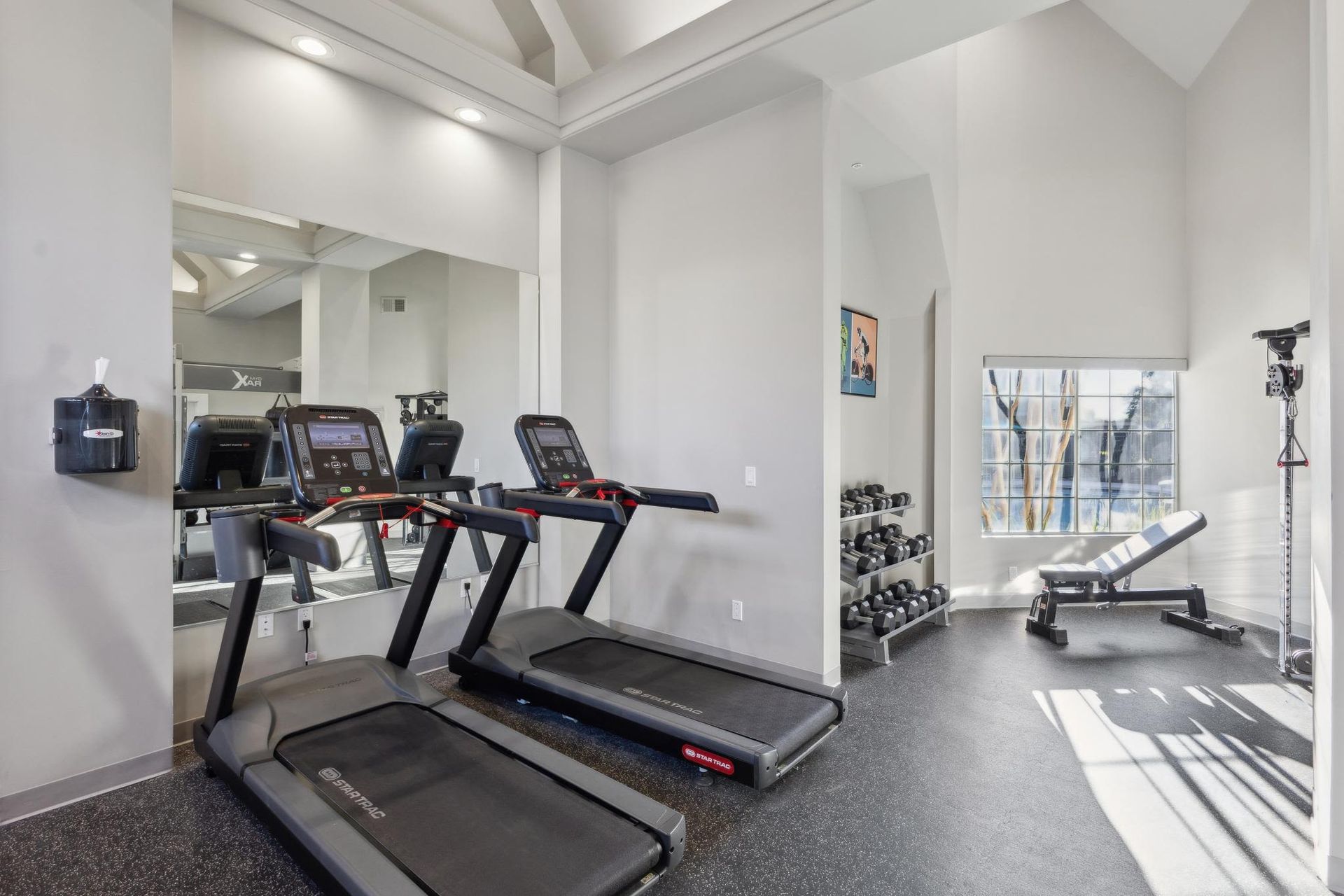 Interior of a modern apartment gym with treadmills, dumbbells, and a weight bench.