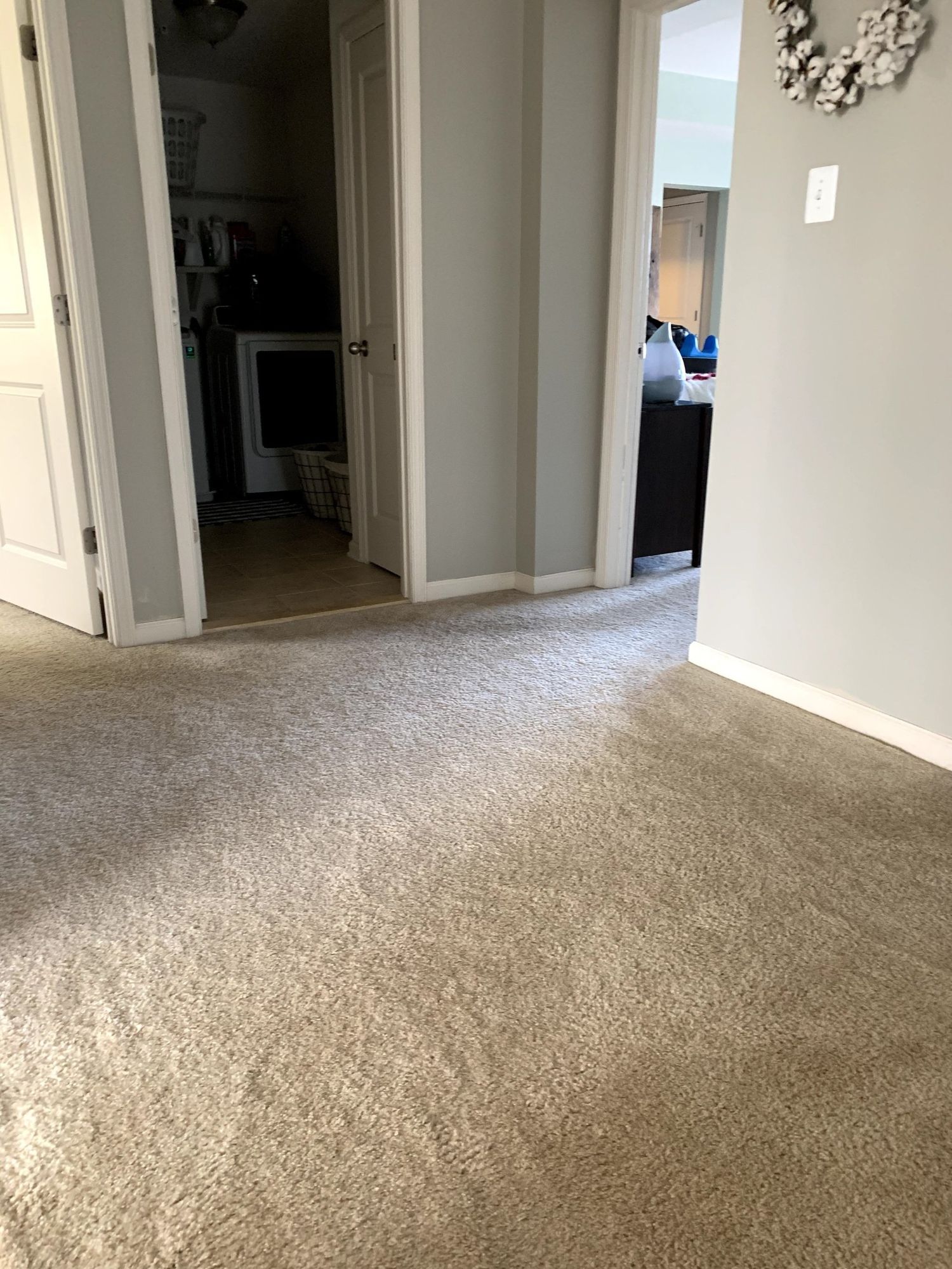 A hallway with a carpeted floor and a doorway leading to a living room.