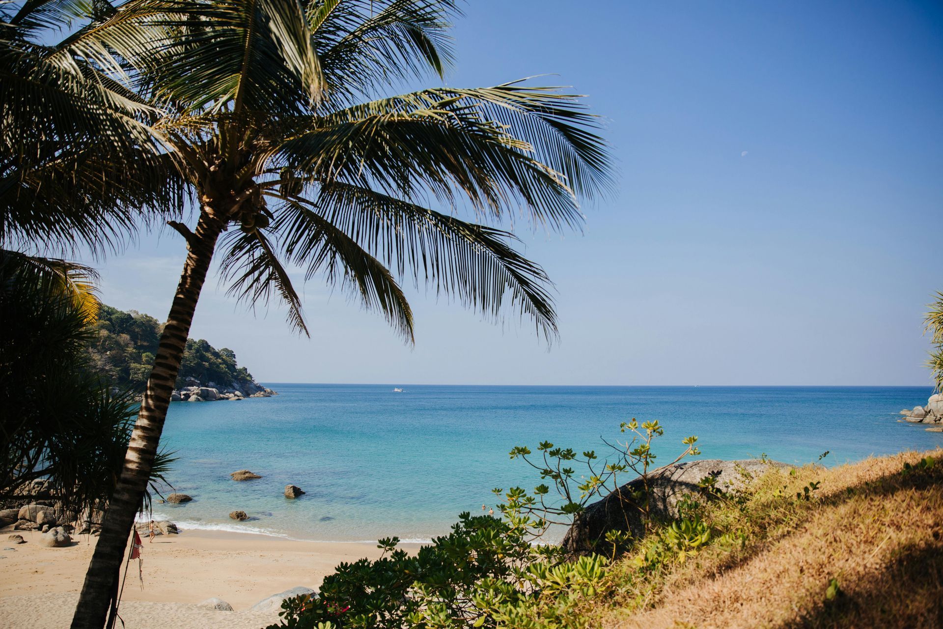 Palm tree frames a turquoise beach and ocean under a clear blue sky.