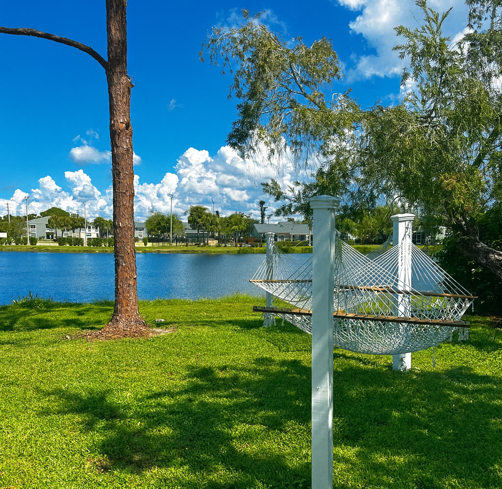 Lakeside scene: hammock strung between white posts, green grass, blue water, white puffy clouds, and a tall tree.