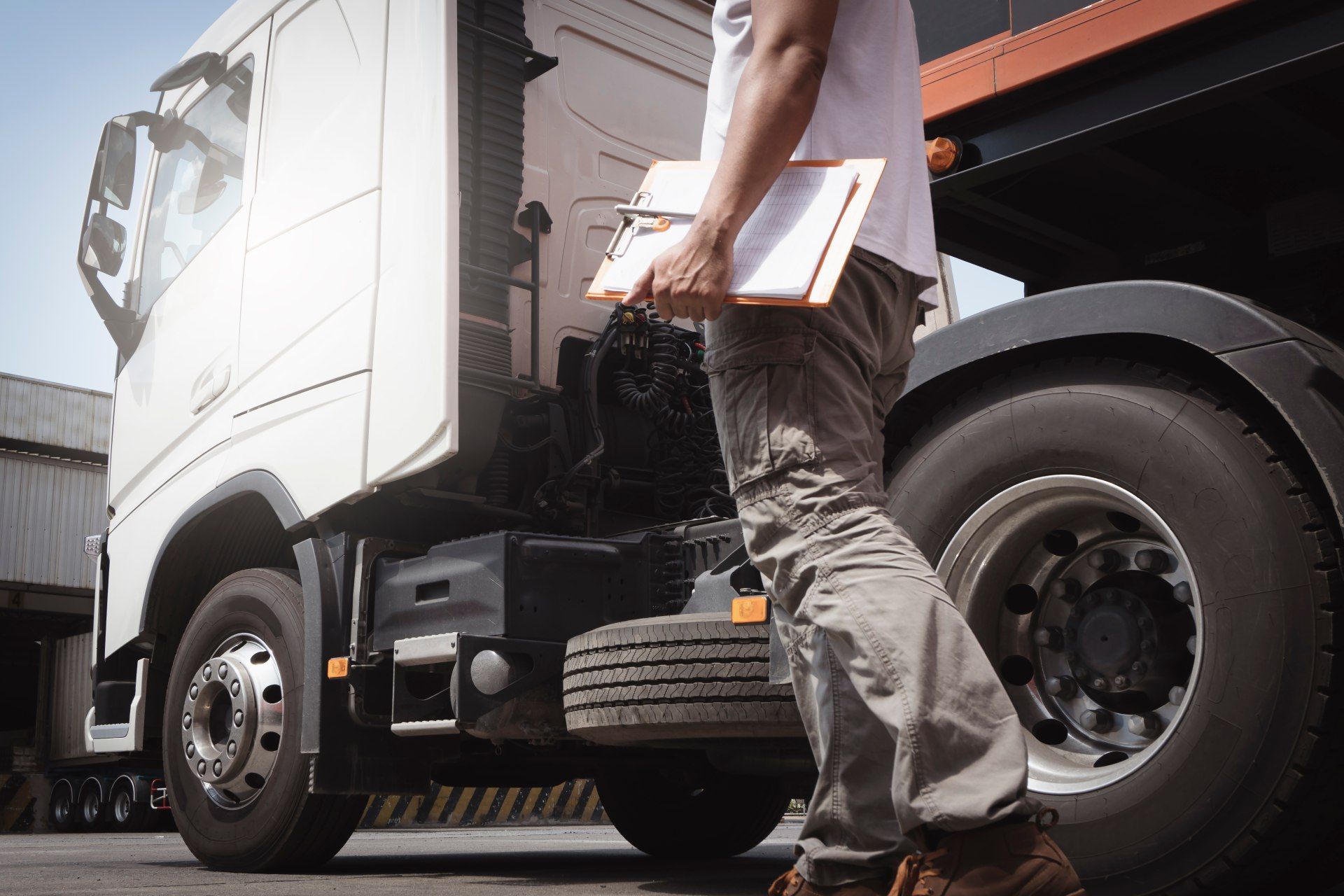 Diagnosi Elettronica Plurimarche