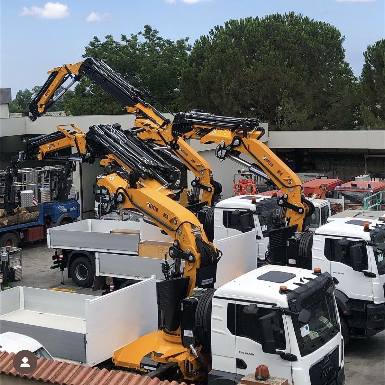 A row of yellow and white trucks are parked in a parking lot.