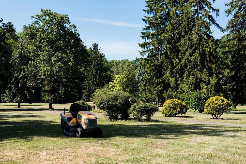 Un vecchio trattore arrugginito è parcheggiato su un campo erboso, circondato da alberi e sotto un cielo azzurro.