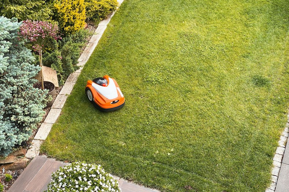 Un robot tagliaerba arancione su un prato verde, vicino ad arbusti e a un vialetto.
