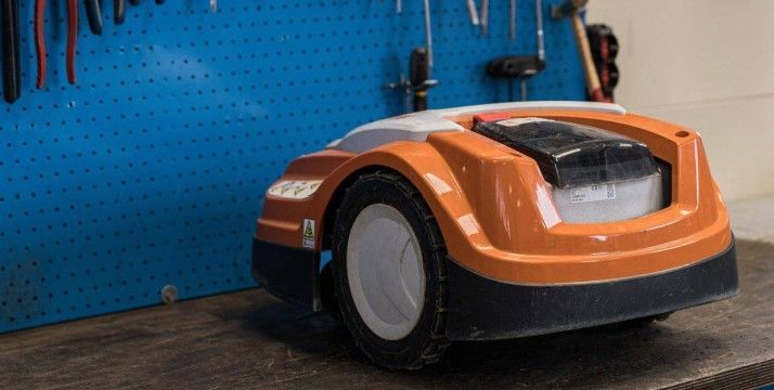 Cane che insegue un robot tagliaerba su un prato verde.