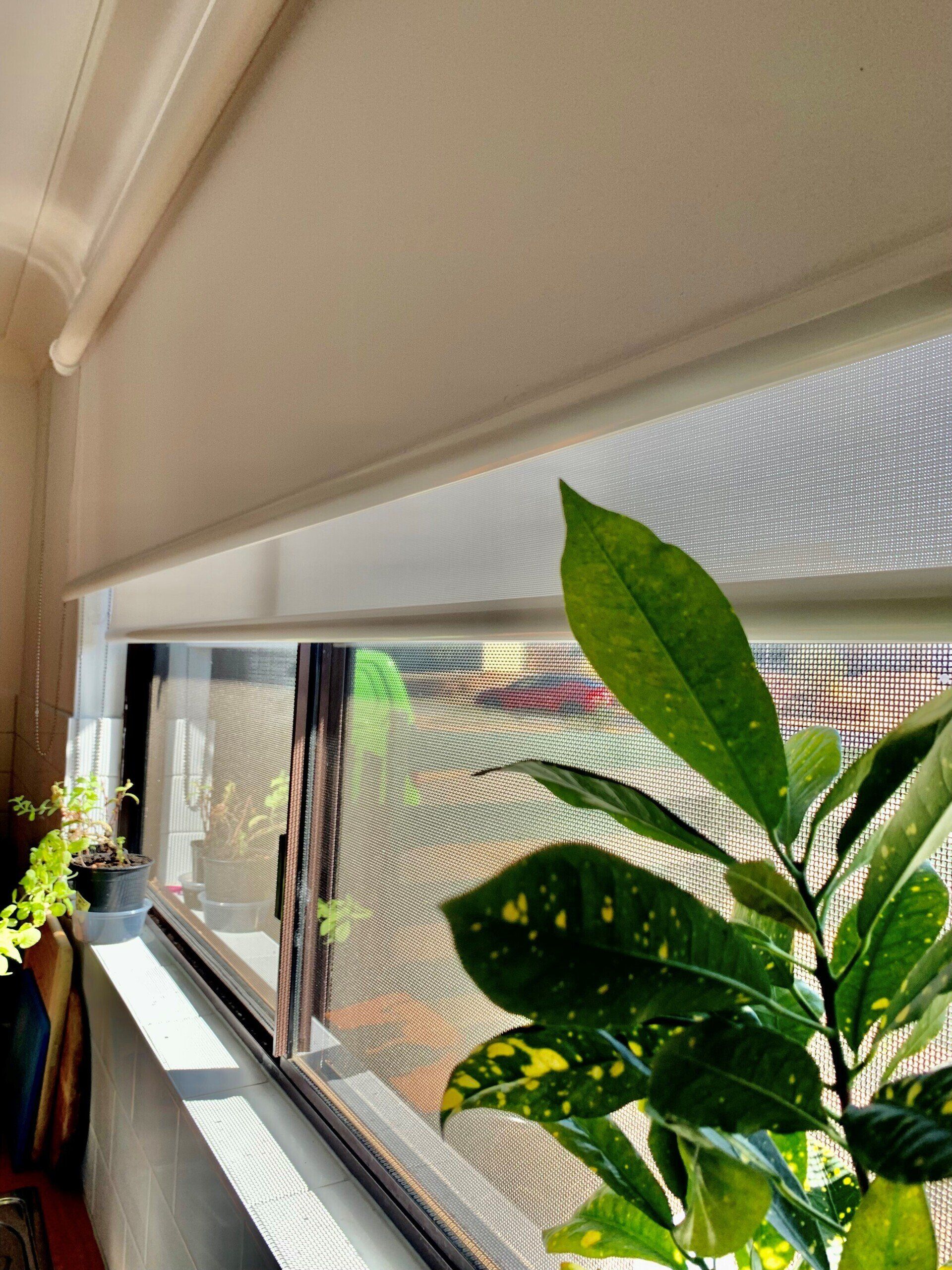 Alice Mobile Blinds | Window Coverings in Alice Springs