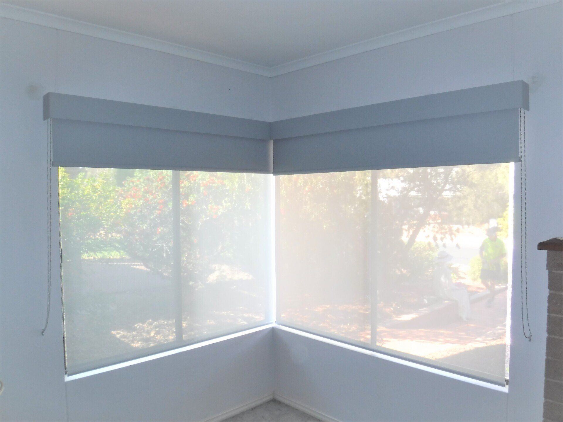 Roller Shades Covering Plants — Blinds, Curtains And Shutters In Alice Springs, NT