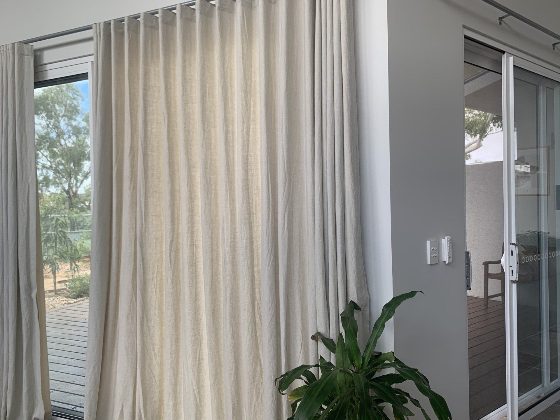 Curtains In Front Of A Plant — Blinds, Curtains And Shutters In Alice Springs, NT