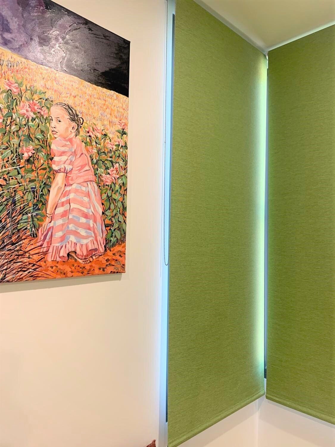 Double Green Roller Shades — Blinds, Curtains And Shutters In Alice Springs, NT