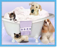 Pets in Bathtub - Pet Grooming