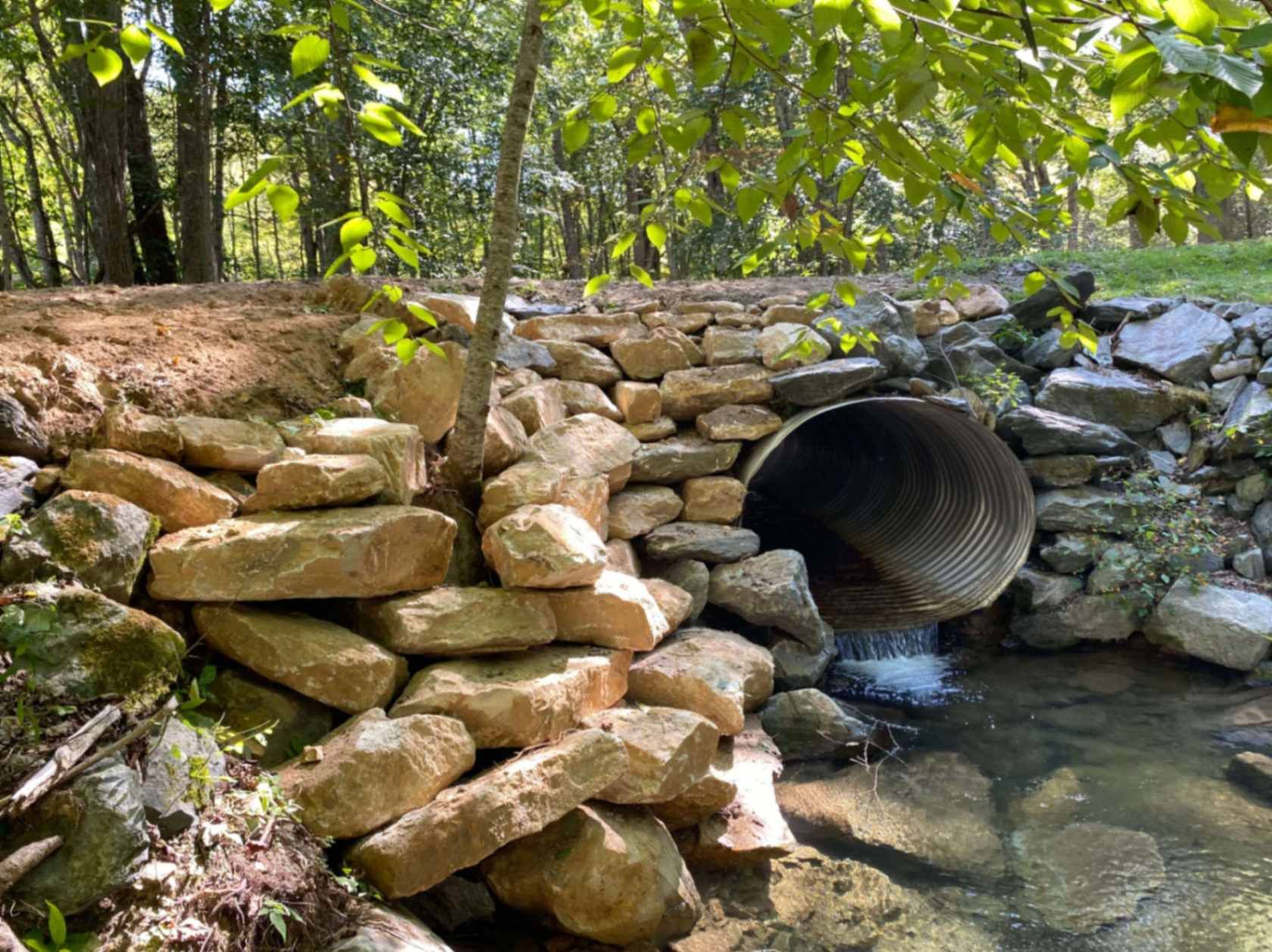 A rock-lined creek flows out of a culvert under a small tree, in a wooded area.