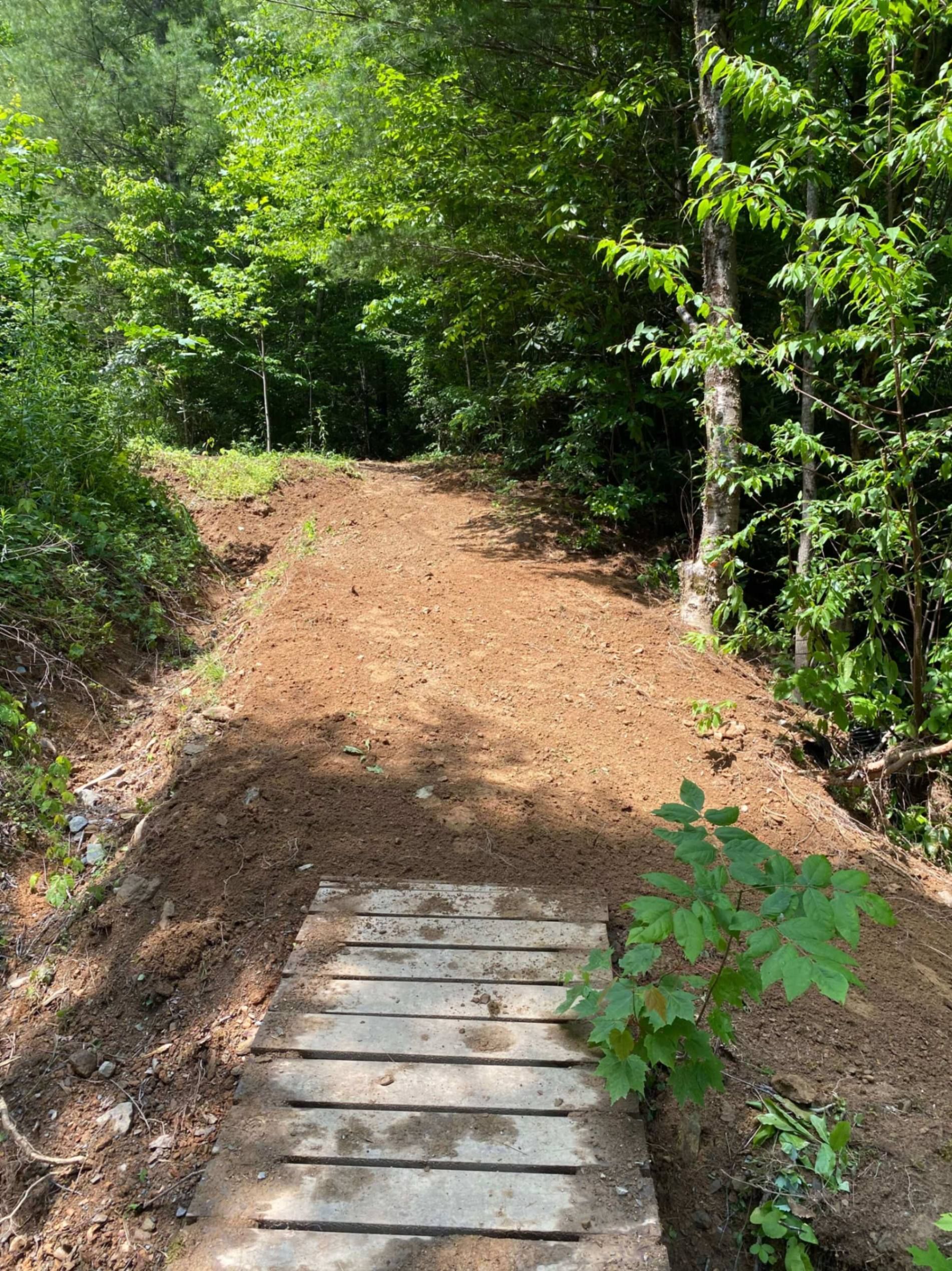 Wooden bridge leads to a dirt path in a forest, with trees and green foliage in the background.