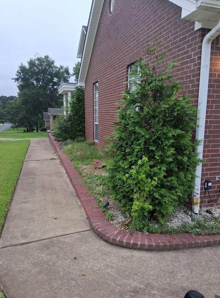 Brick house side with concrete sidewalk, grass lawn, and a small shrub by the wall.